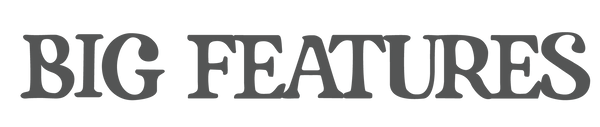 SHOP BIG FEATURES logo